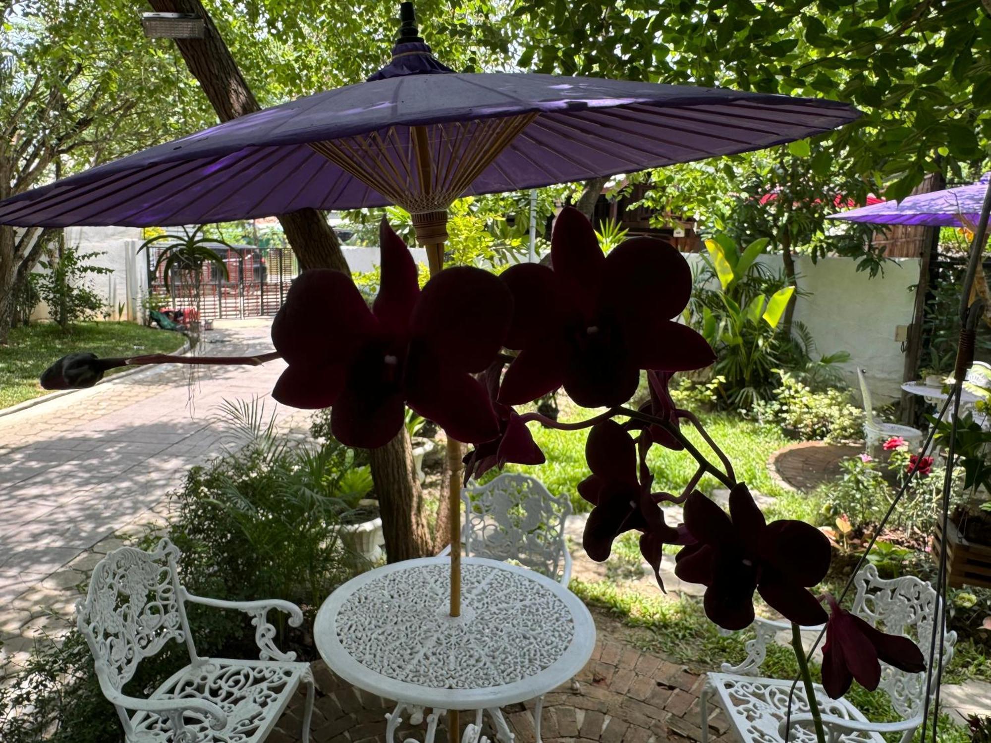Chiang Mai Las Orquideas Resort מראה חיצוני תמונה