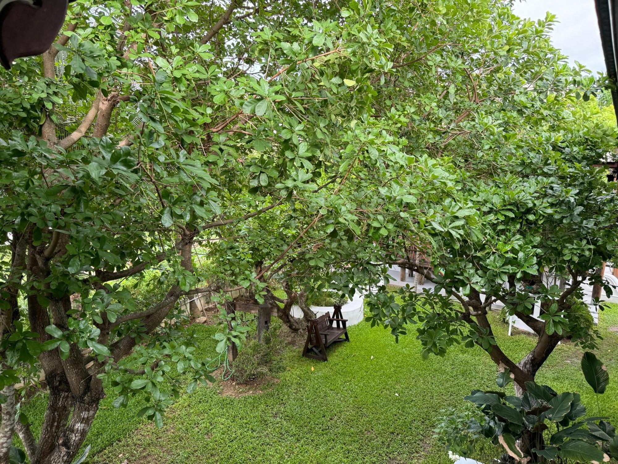 Chiang Mai Las Orquideas Resort מראה חיצוני תמונה